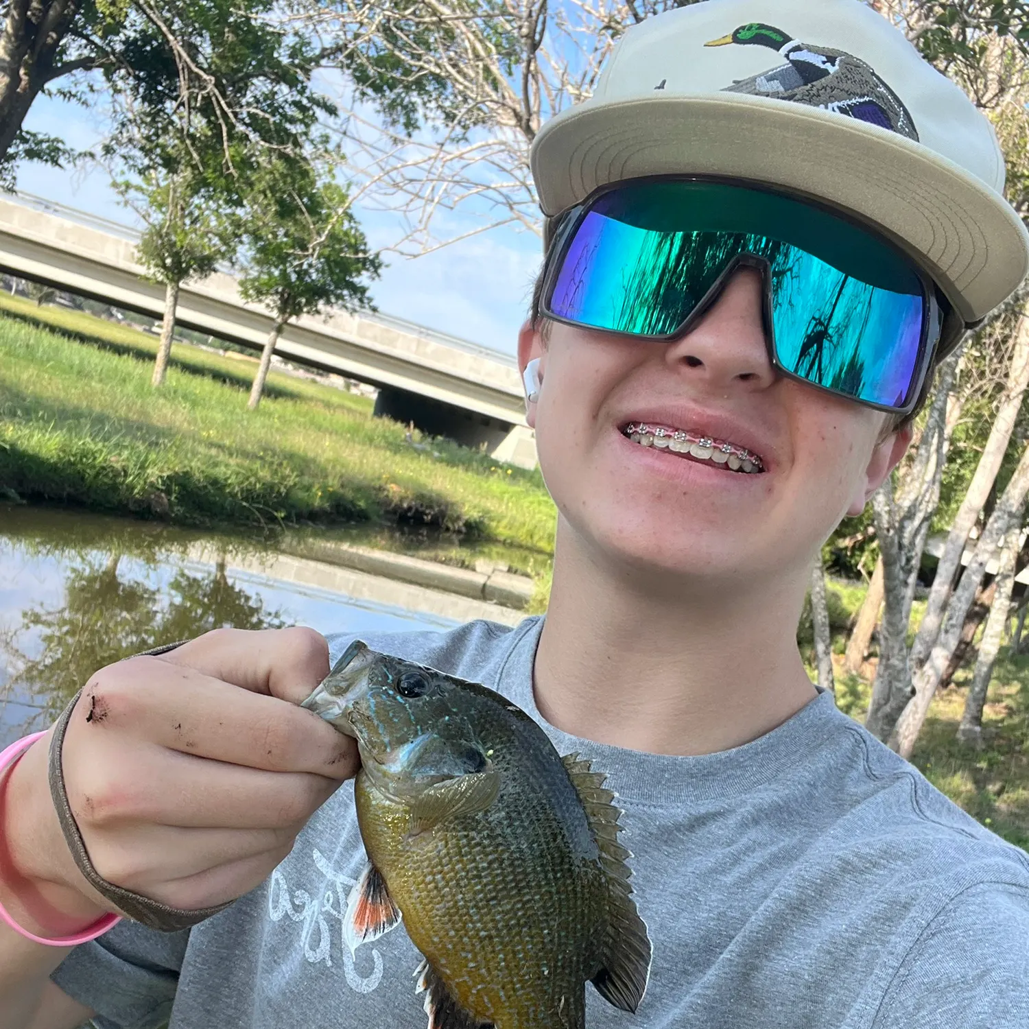 Bluegill caught on Fishbrain