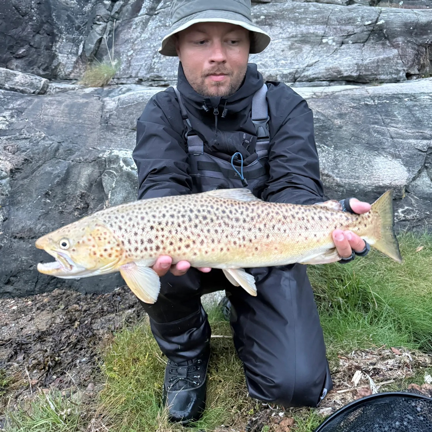 Sea trout caught on Fishbrain
