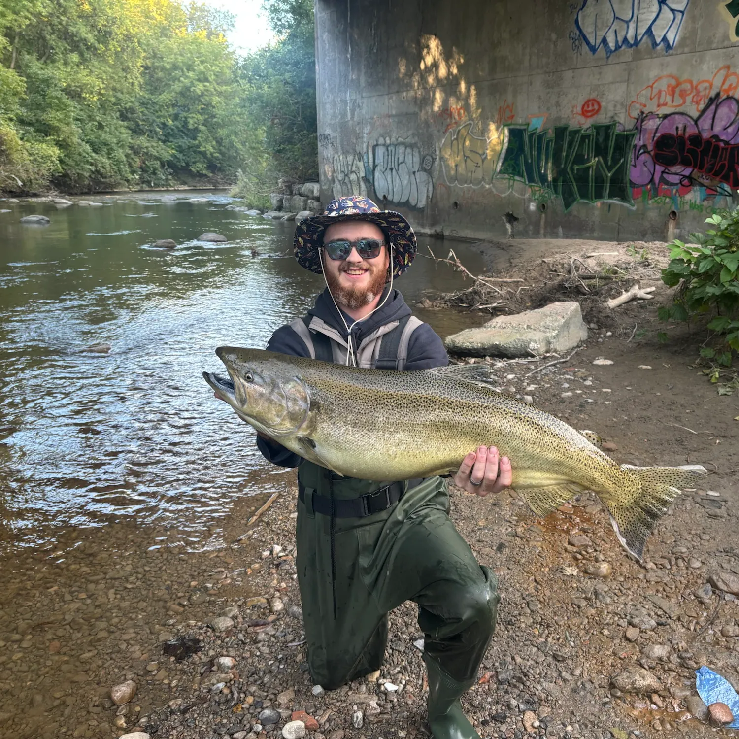 Chinook salmon caught on Fishbrain