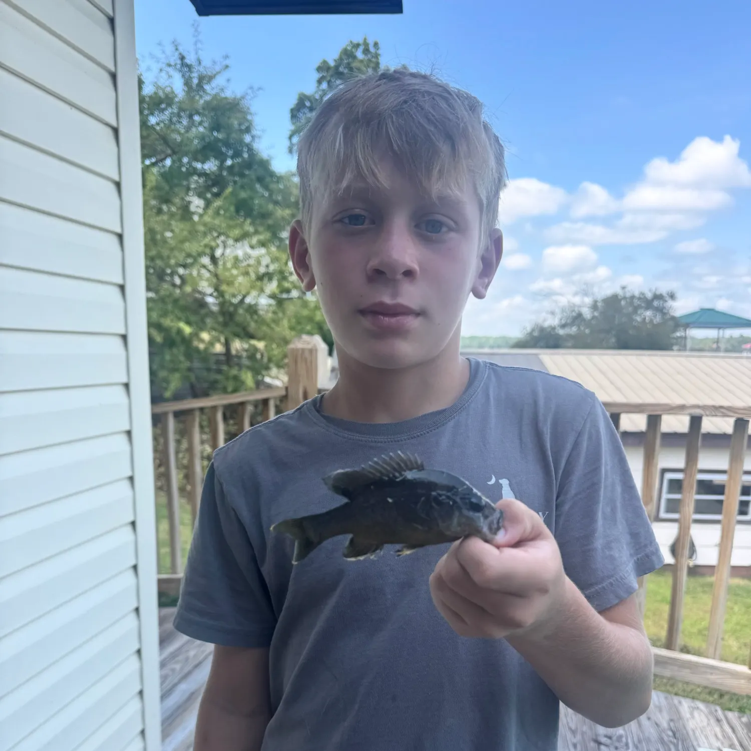 Fish caught on Fishbrain