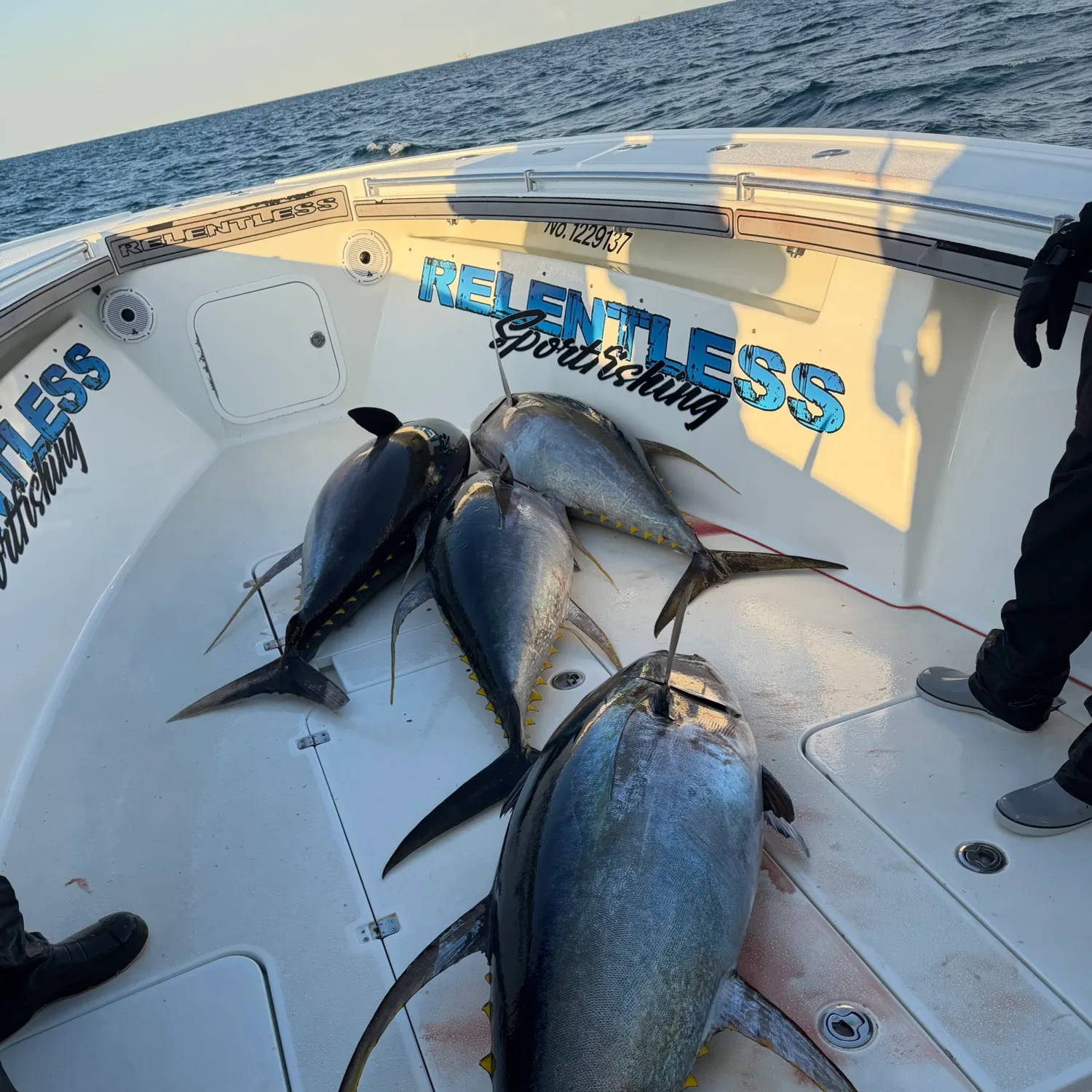 Yellowfin tuna caught on Fishbrain