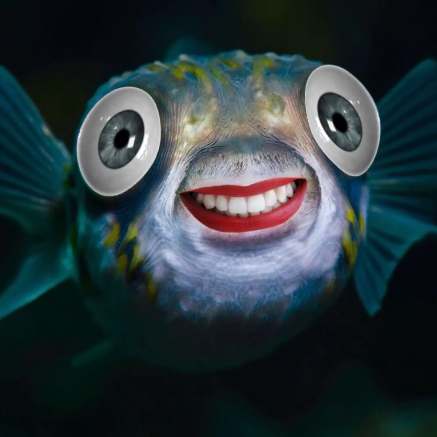 most liked catch image