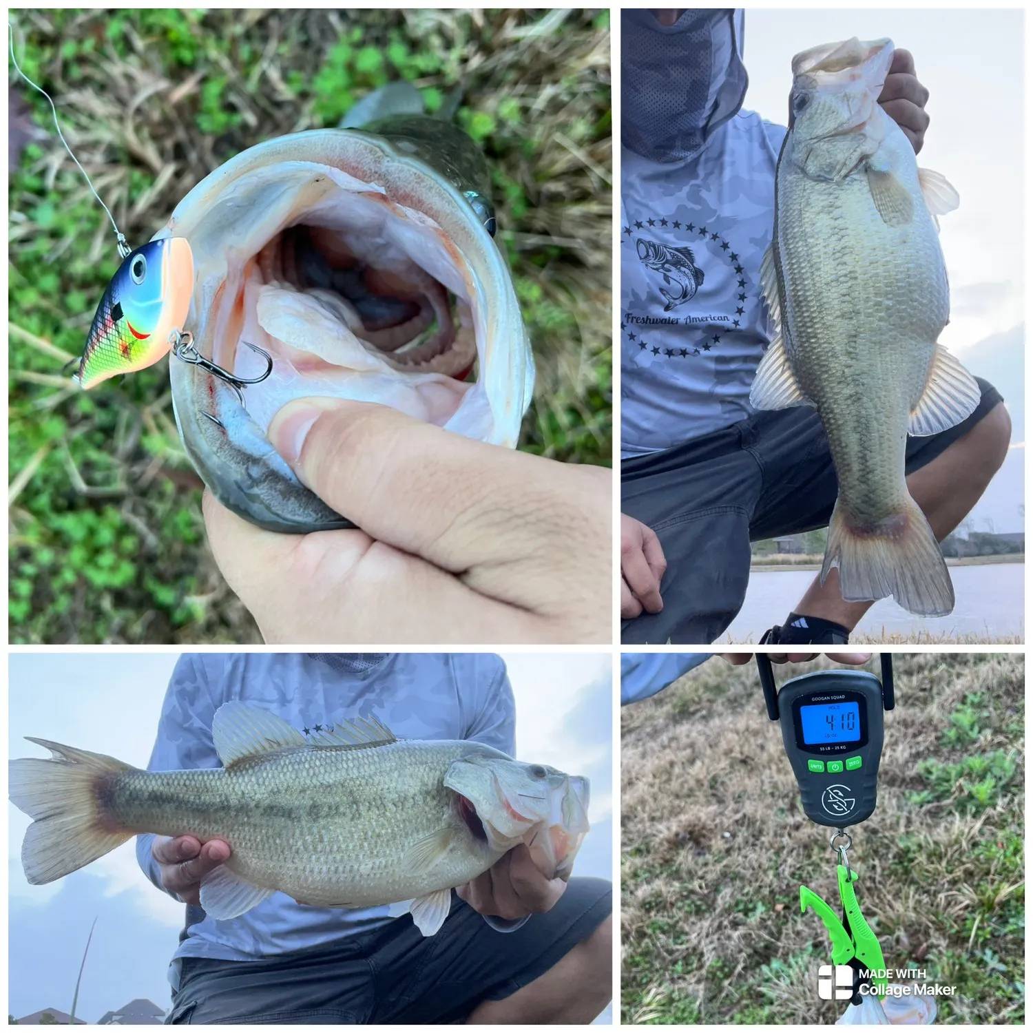 Largemouth bass caught on Fishbrain