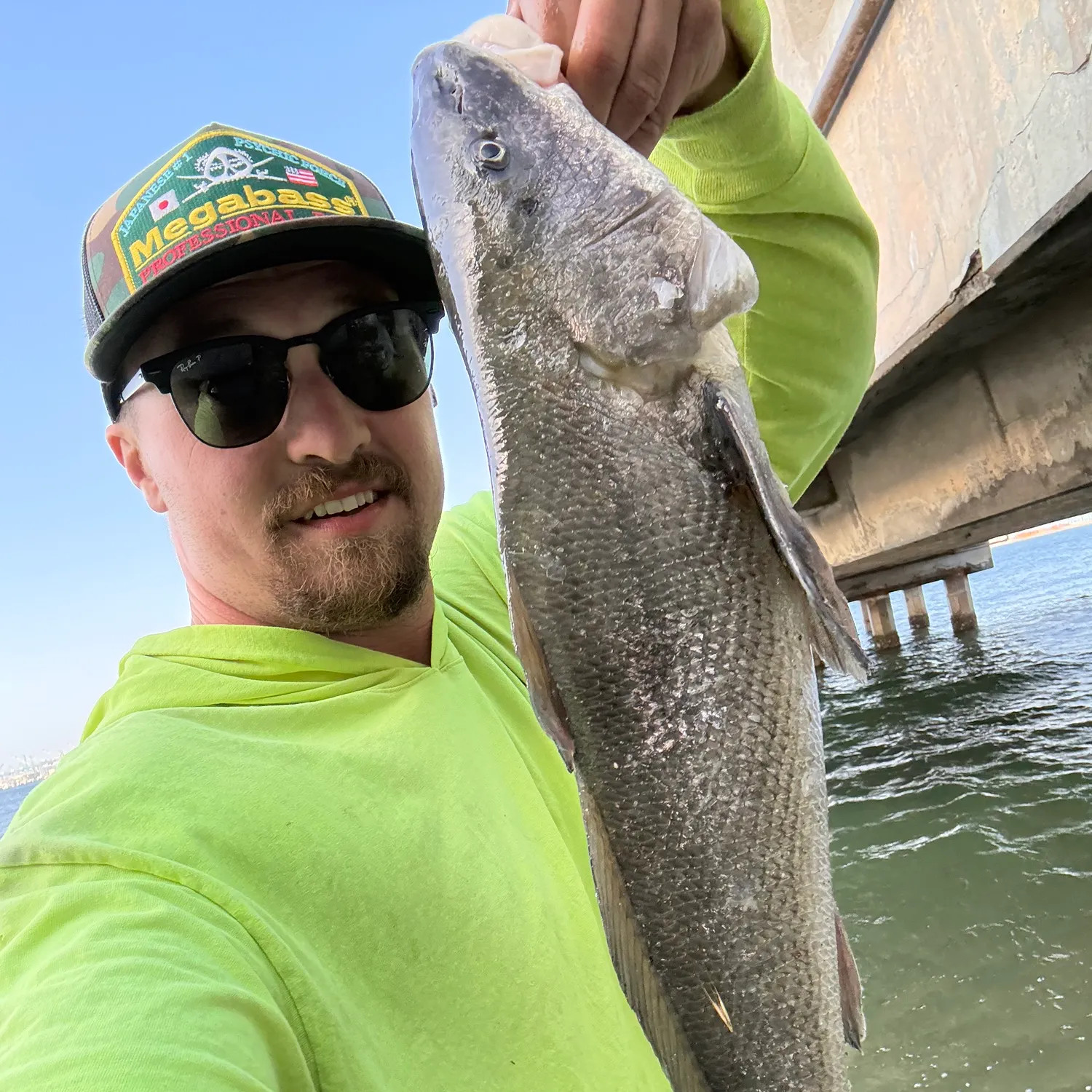 The most recent California corbina catches on Fishbrain