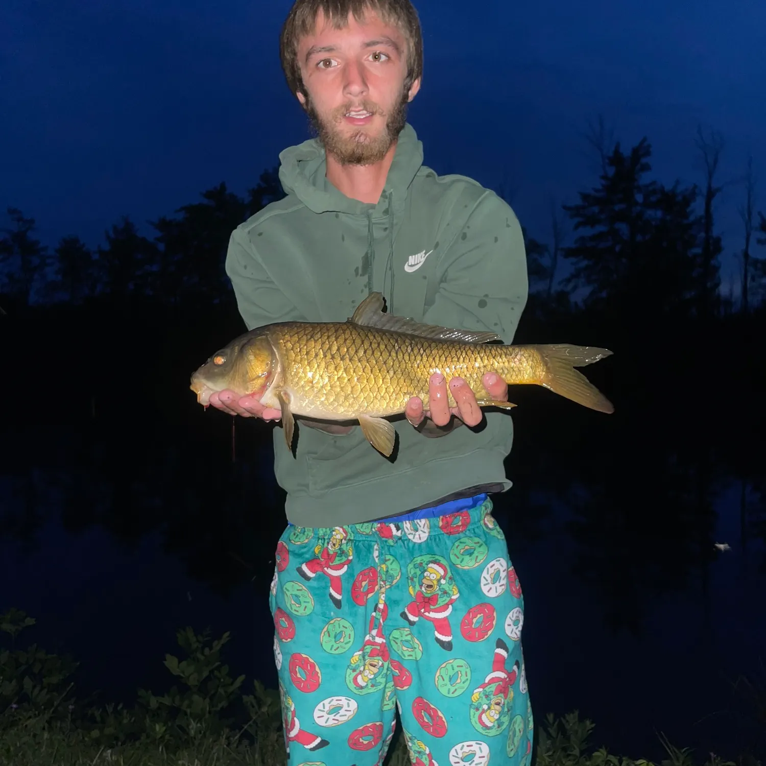 Common carp caught on Fishbrain