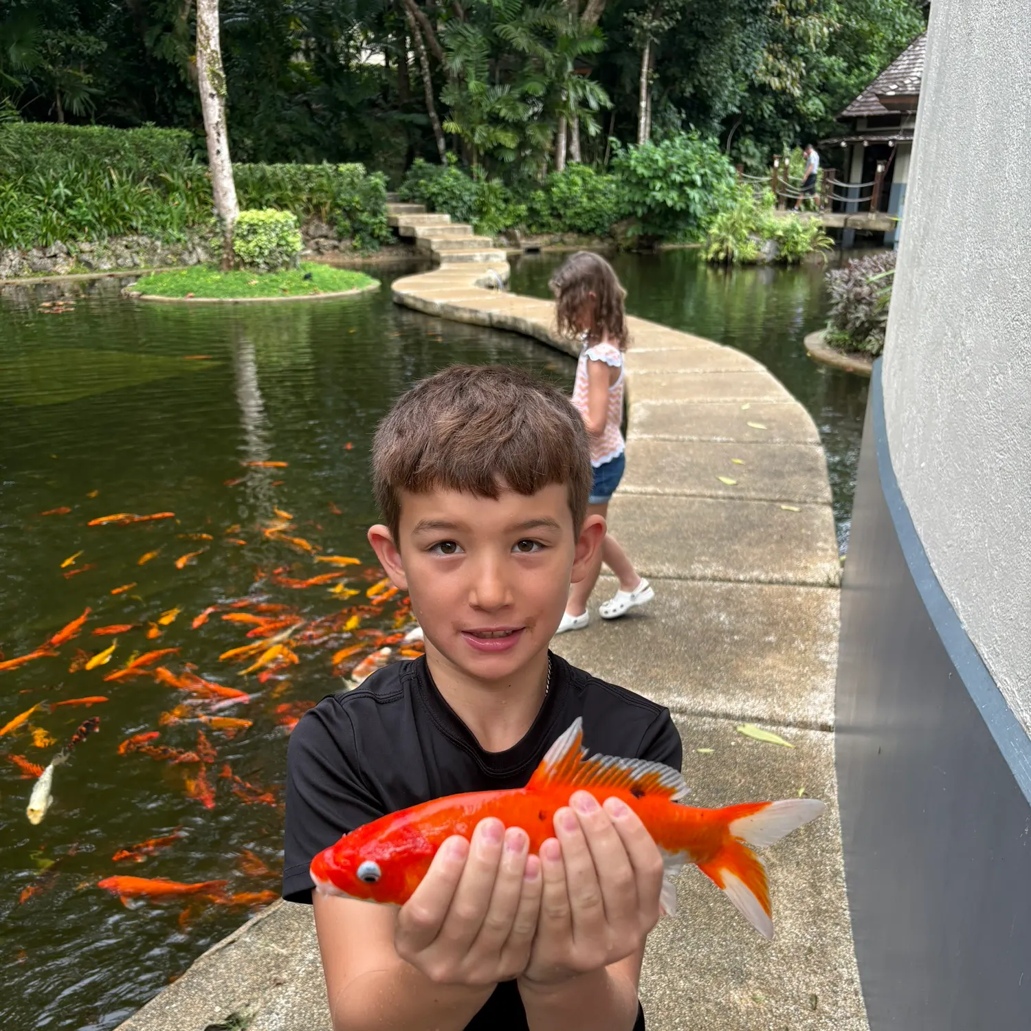 The most recent Koi carp catches on Fishbrain