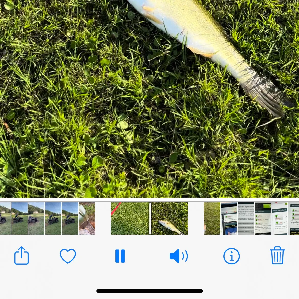 recently logged catches