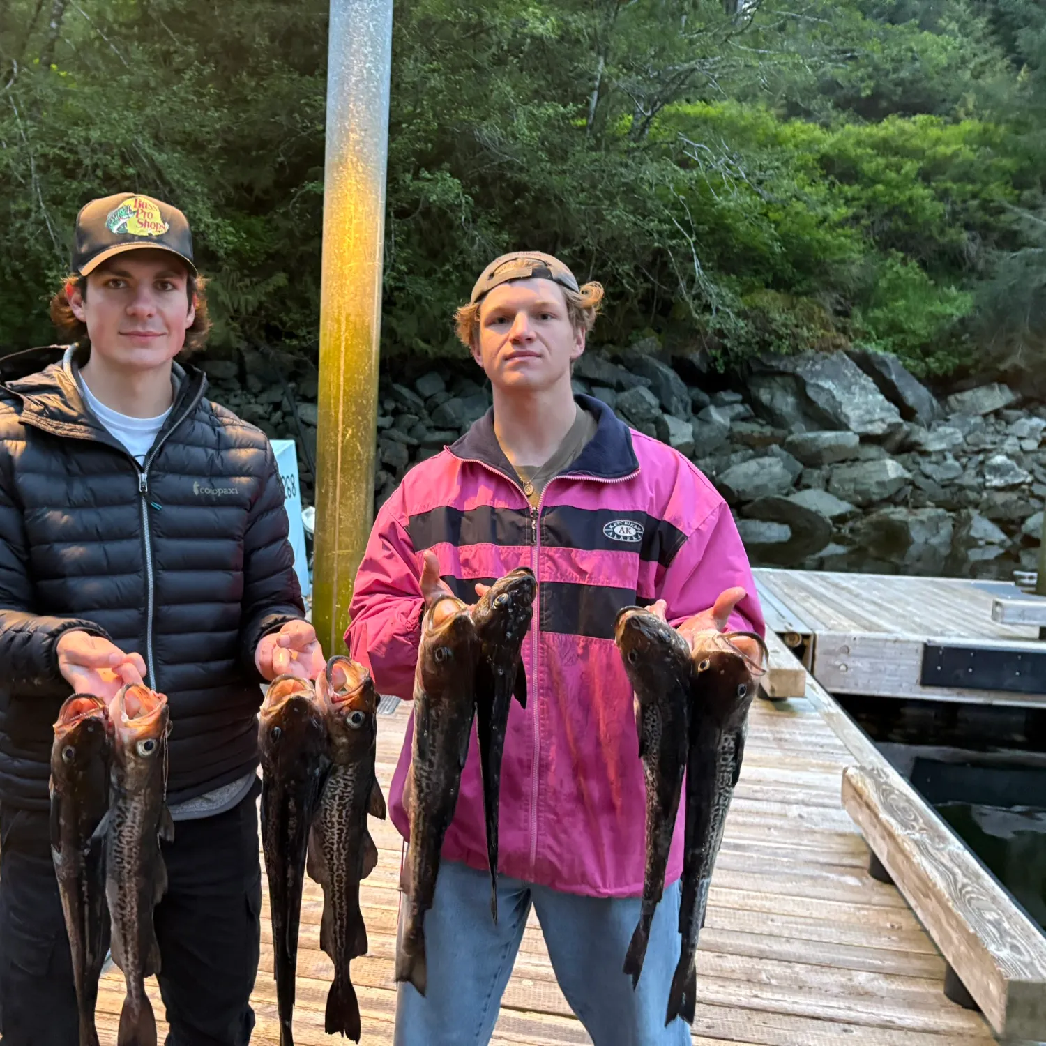 The most recent Sablefish catches on Fishbrain