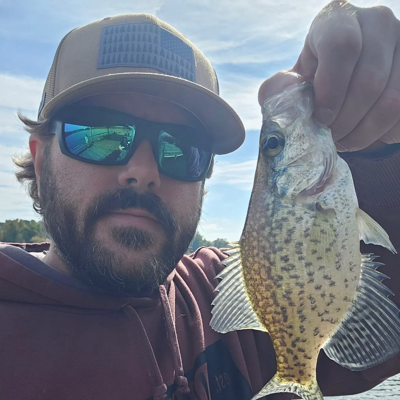 Black crappie caught on Fishbrain
