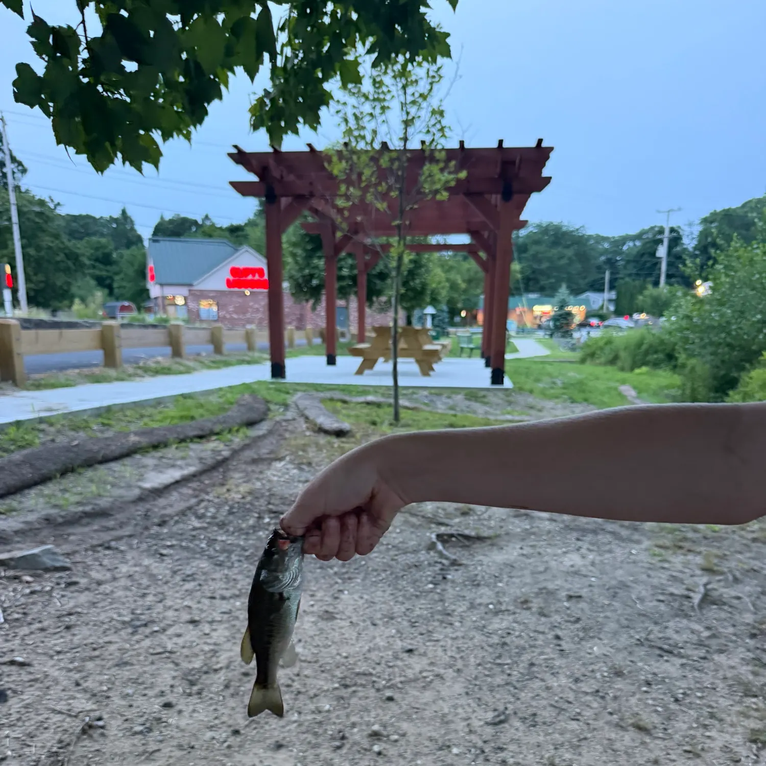 catch