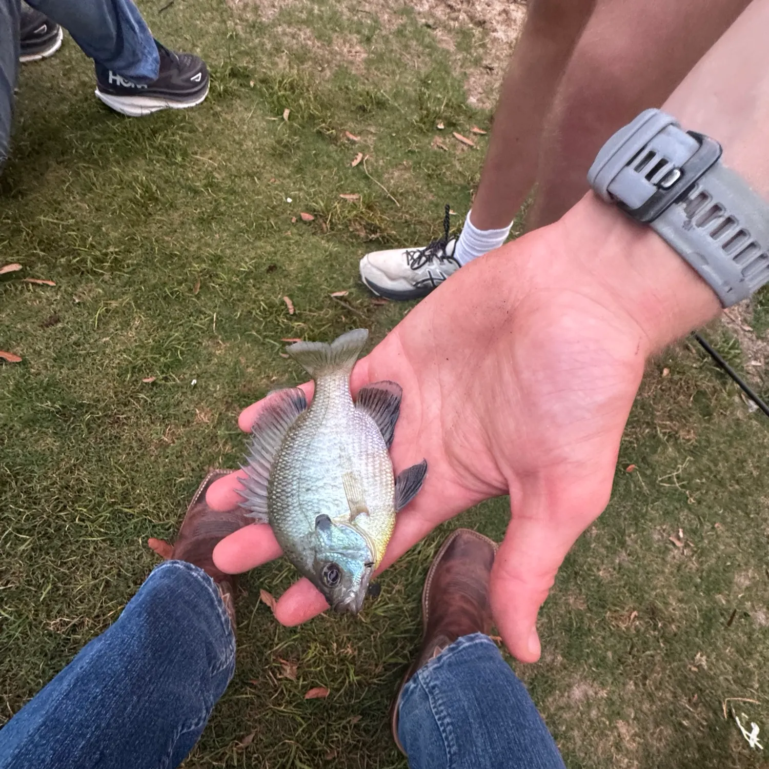 catch