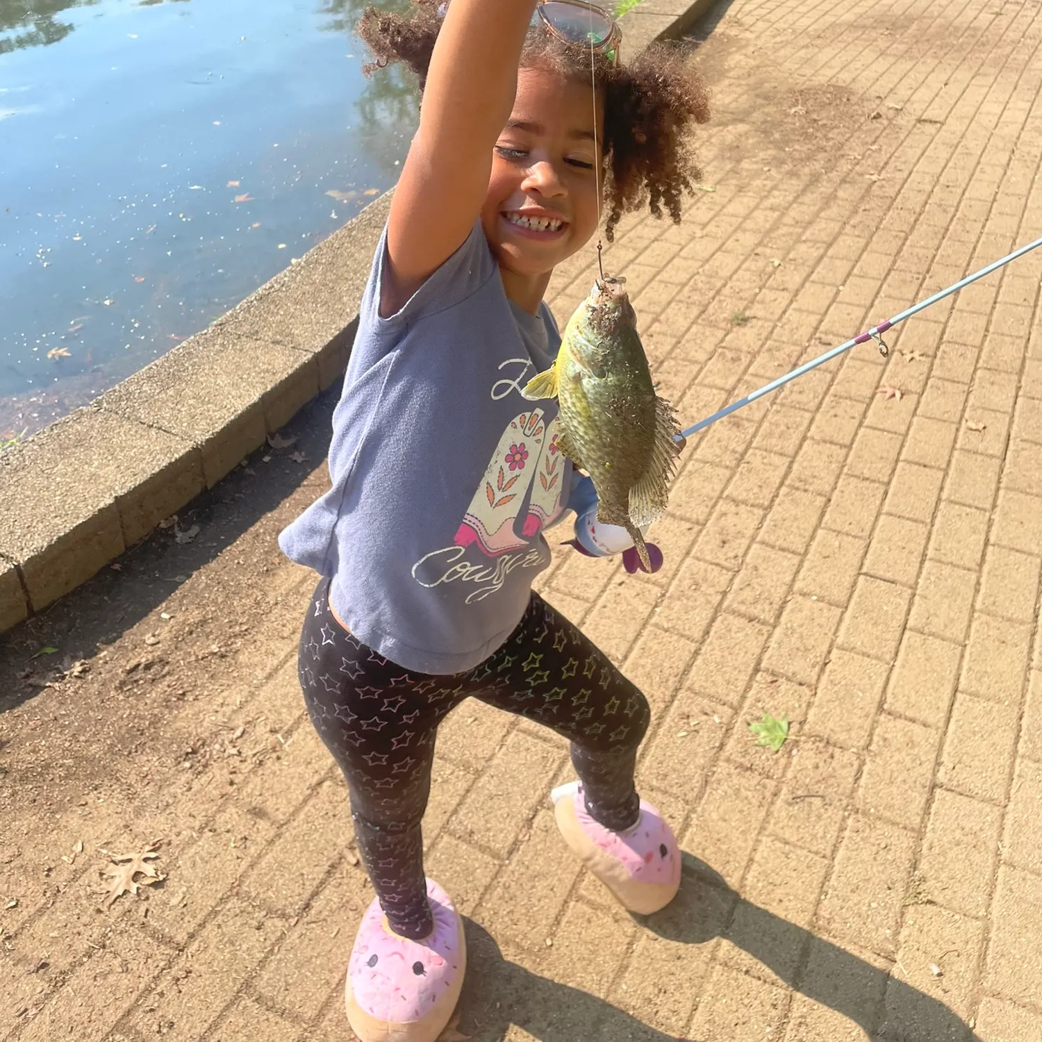 Bluegill caught on Fishbrain