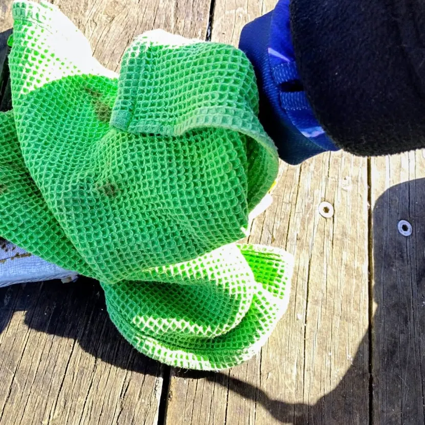 The most recent King George whiting catches on Fishbrain