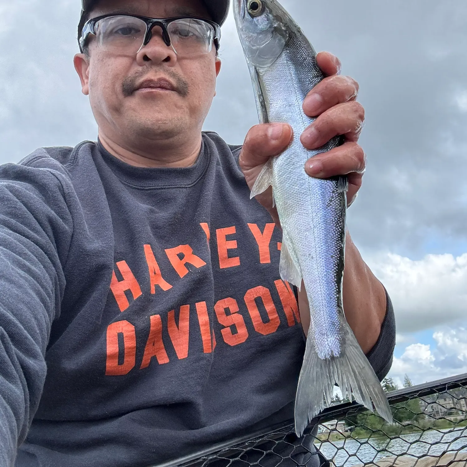 The most recent Kokanee salmon catches on Fishbrain