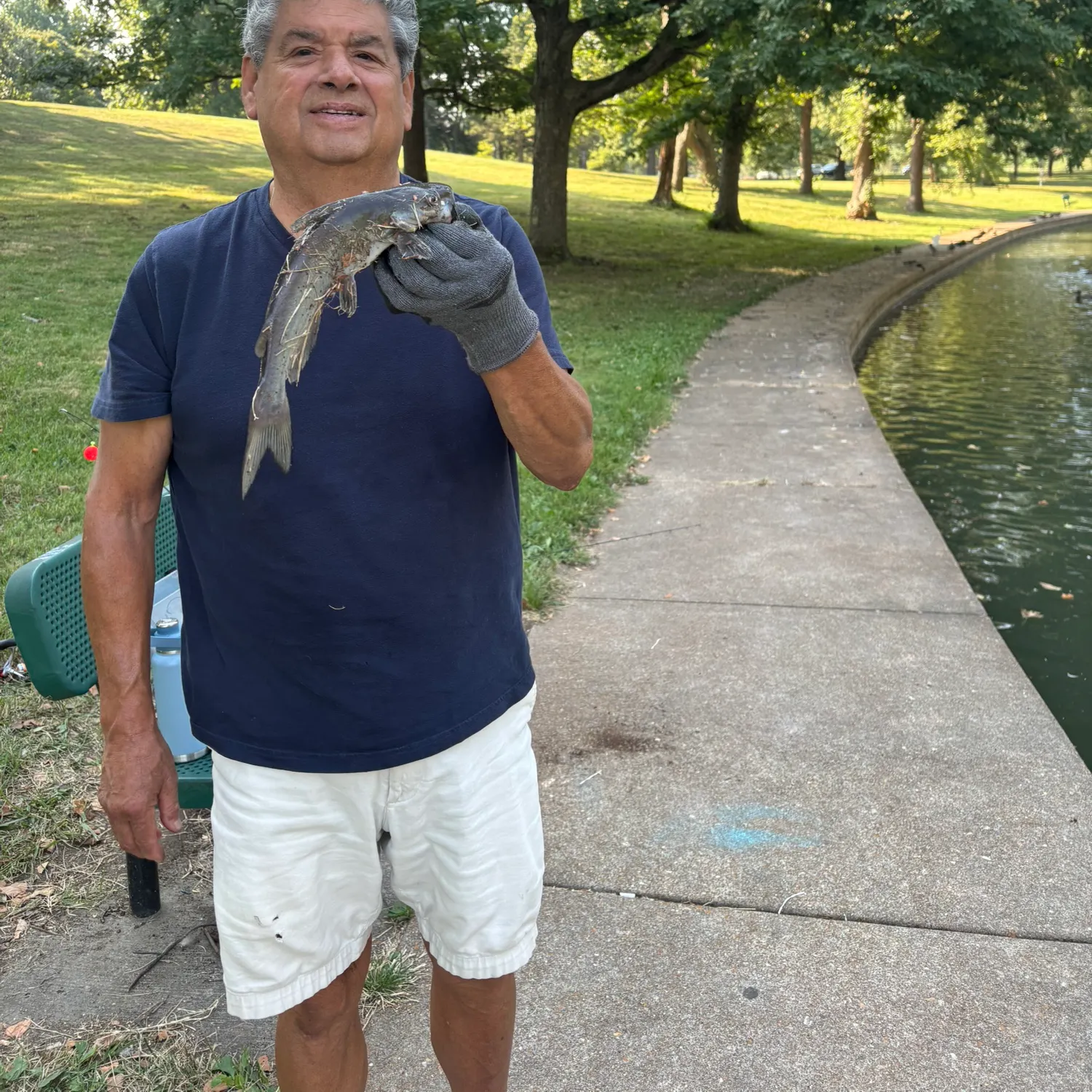Channel catfish caught on Fishbrain