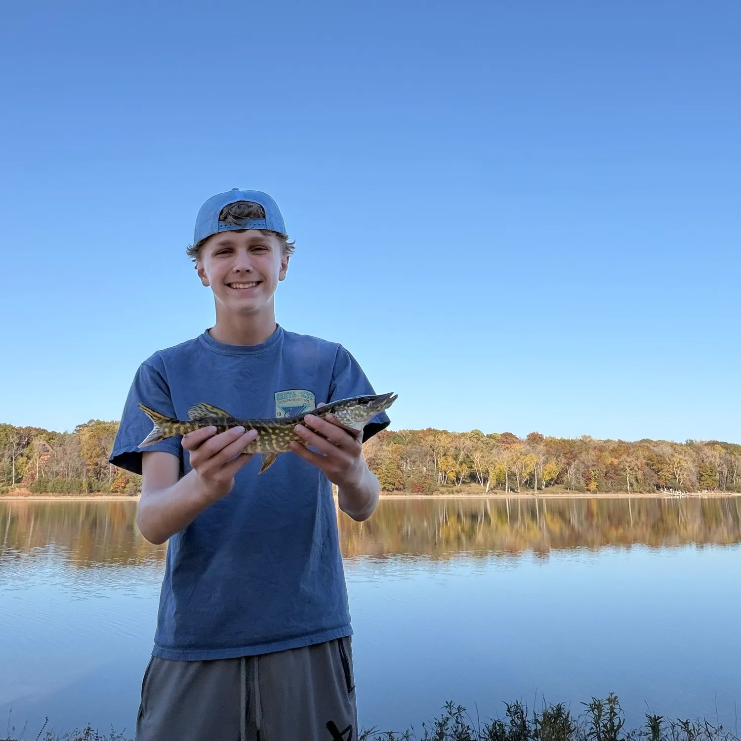 Northern pike caught on Fishbrain