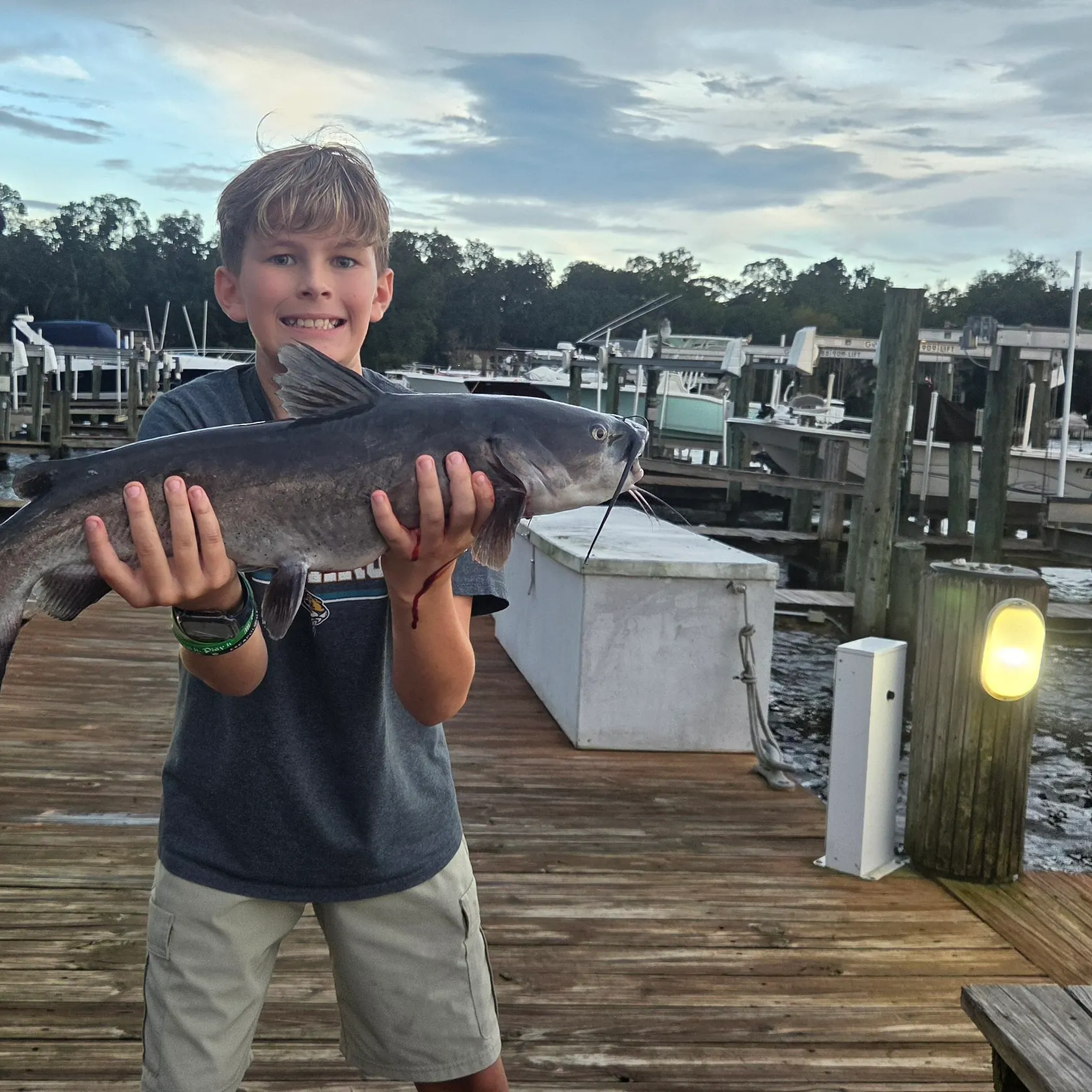 Channel catfish caught on Fishbrain