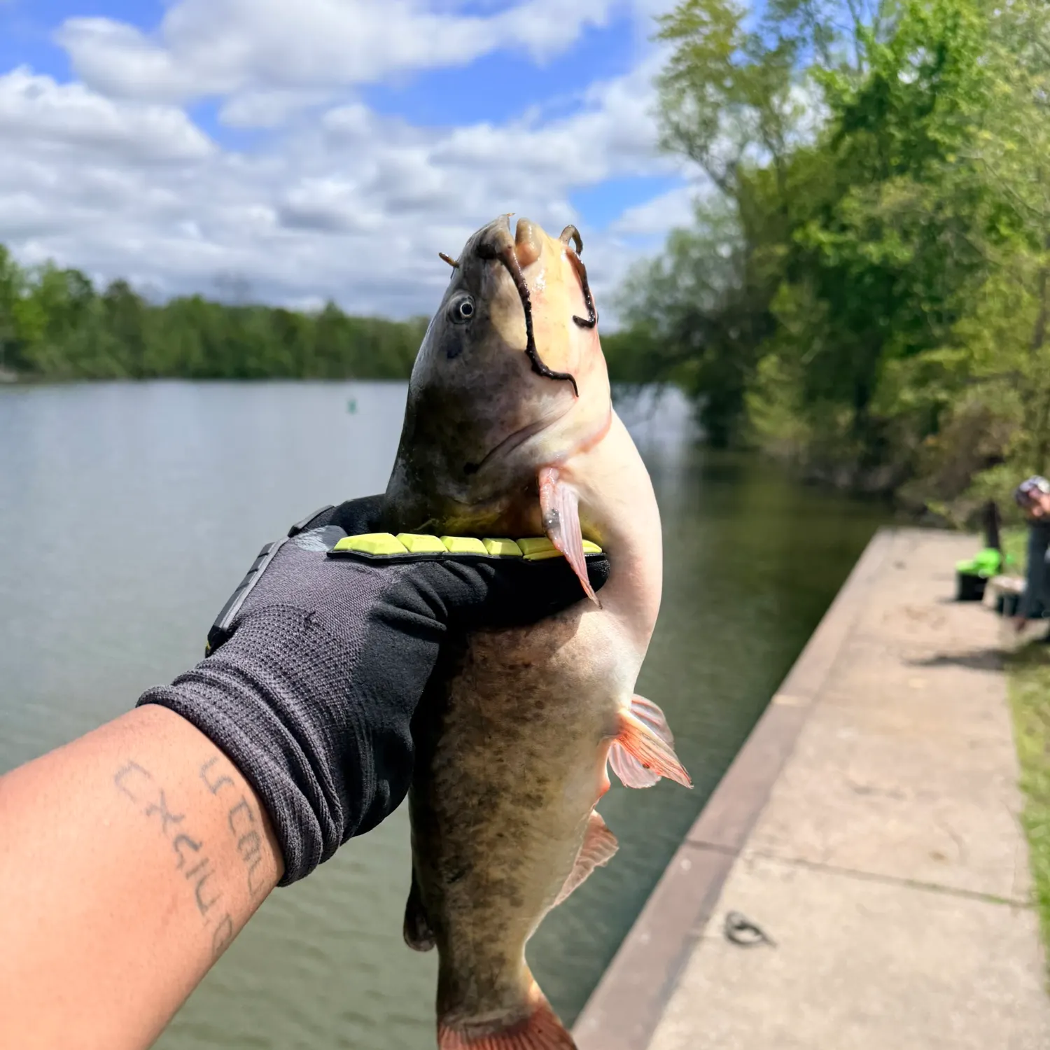 catch