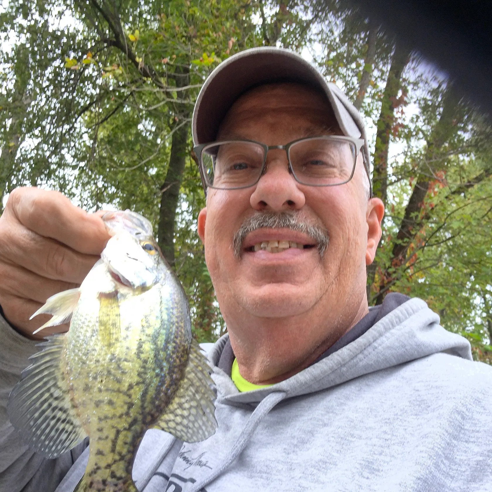 Black crappie caught on Fishbrain
