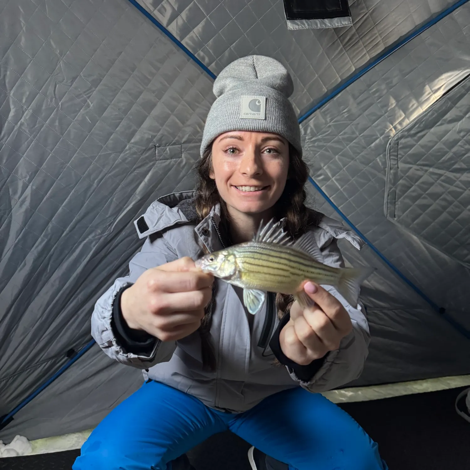 The most recent Yellow bass catches on Fishbrain