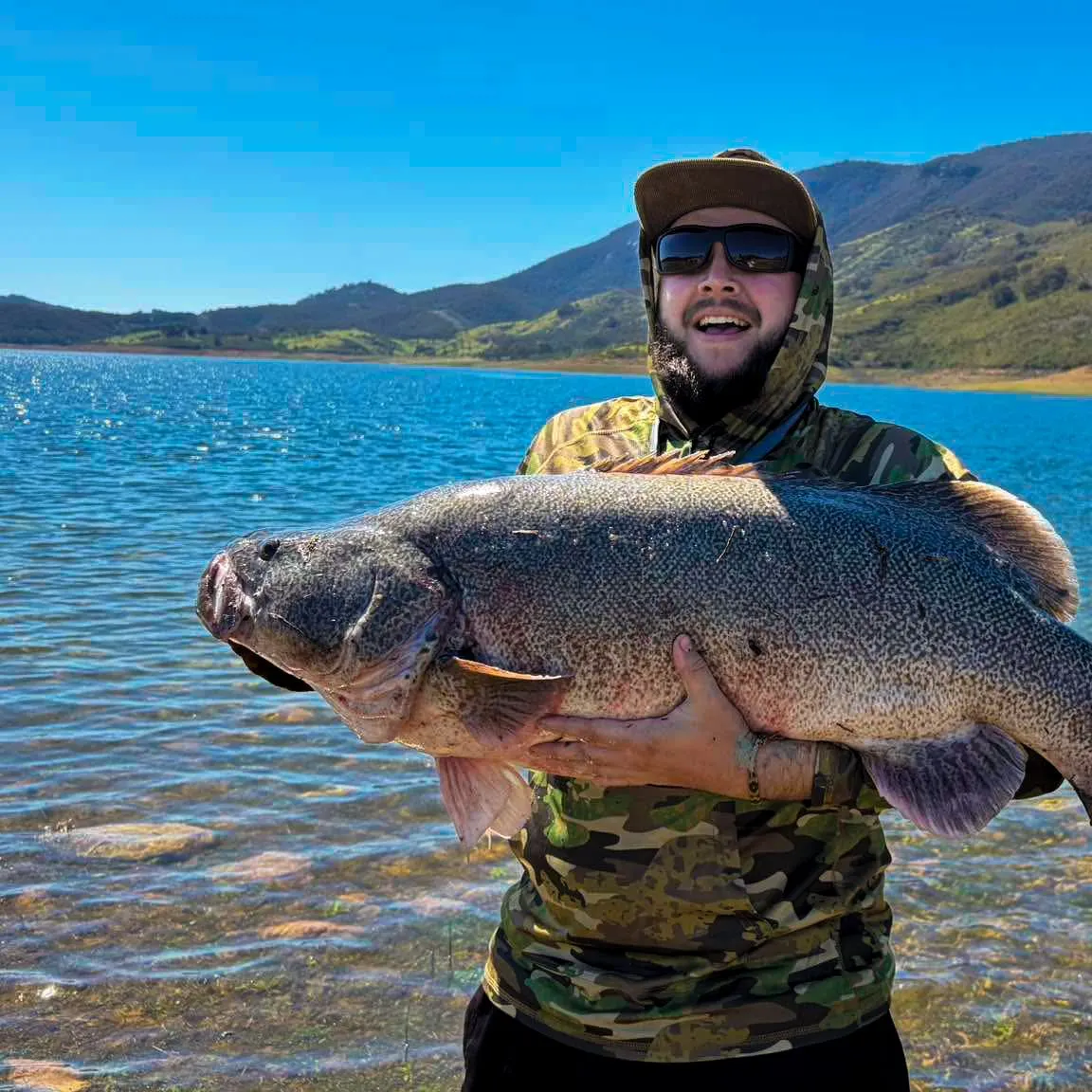 Murray cod caught on Fishbrain