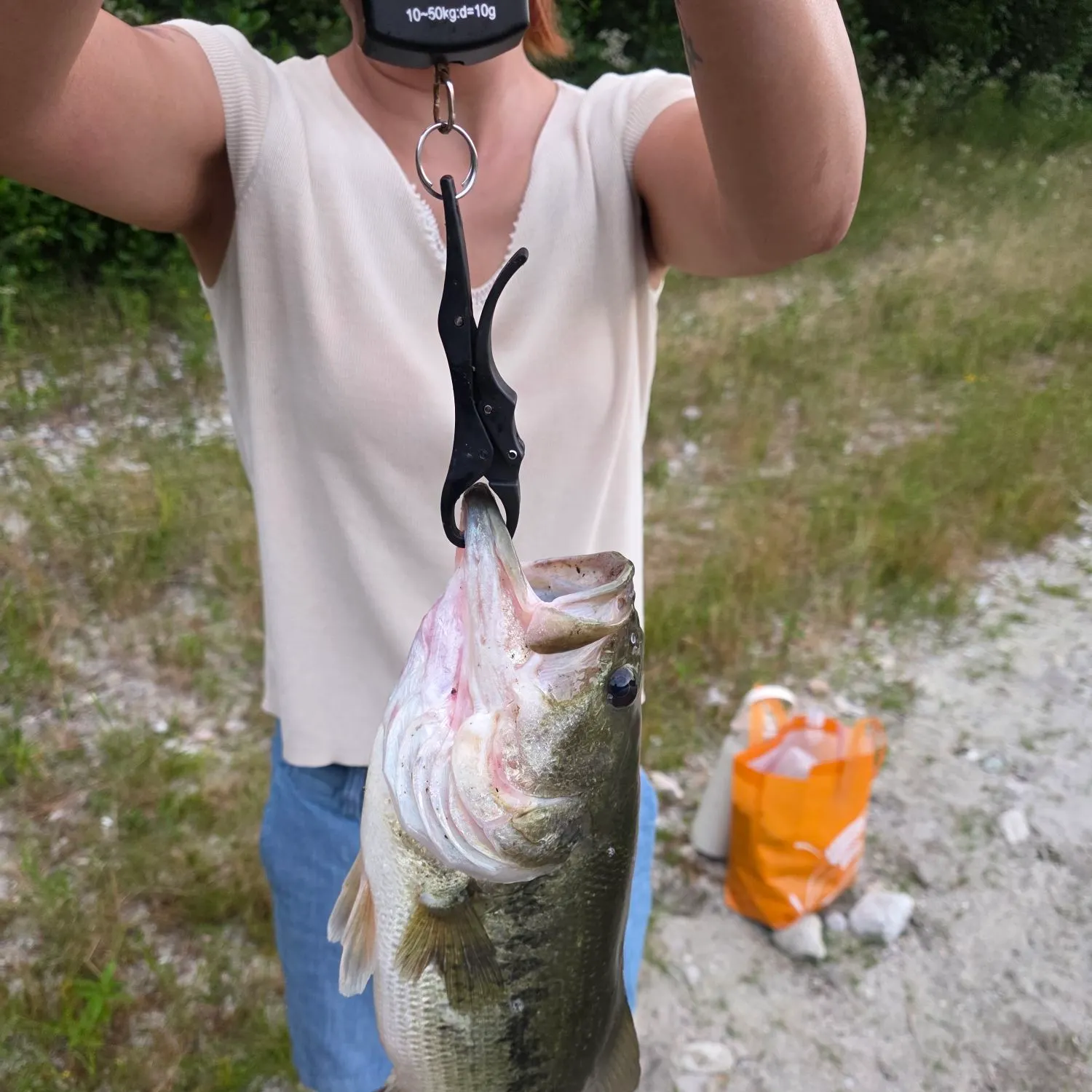 Largemouth bass caught on Fishbrain
