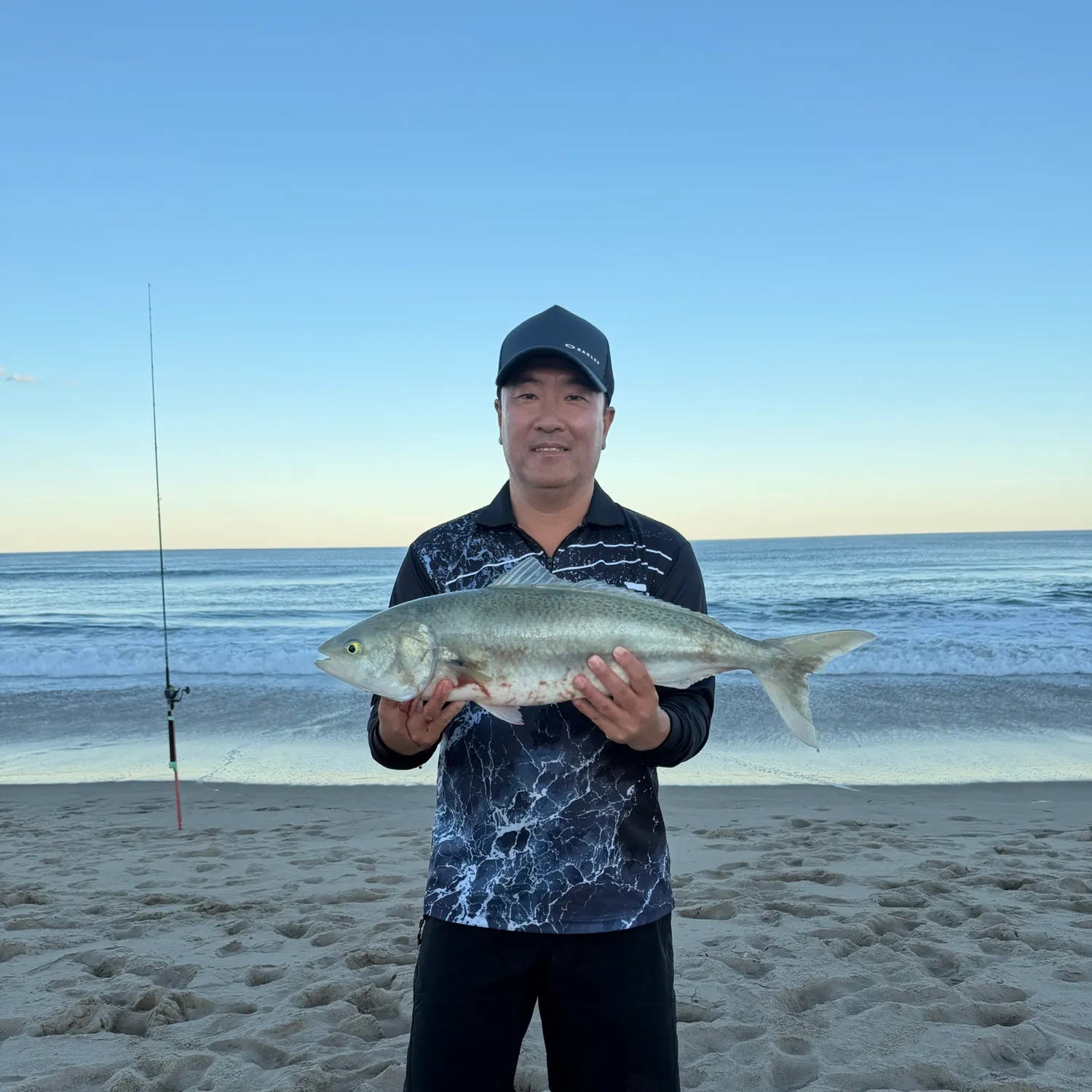 Eastern Australian salmon caught on Fishbrain