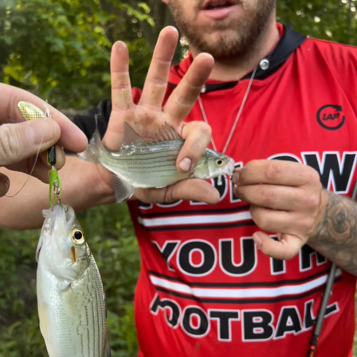 recently logged catches