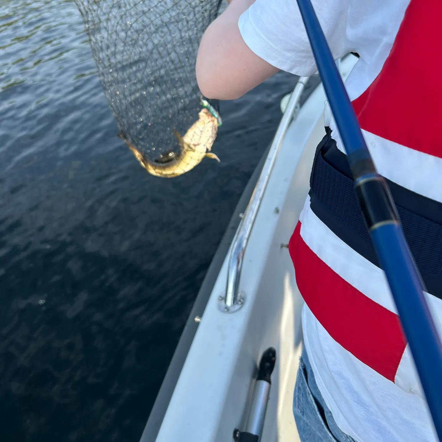 The most recent Atlantic cod catches on Fishbrain