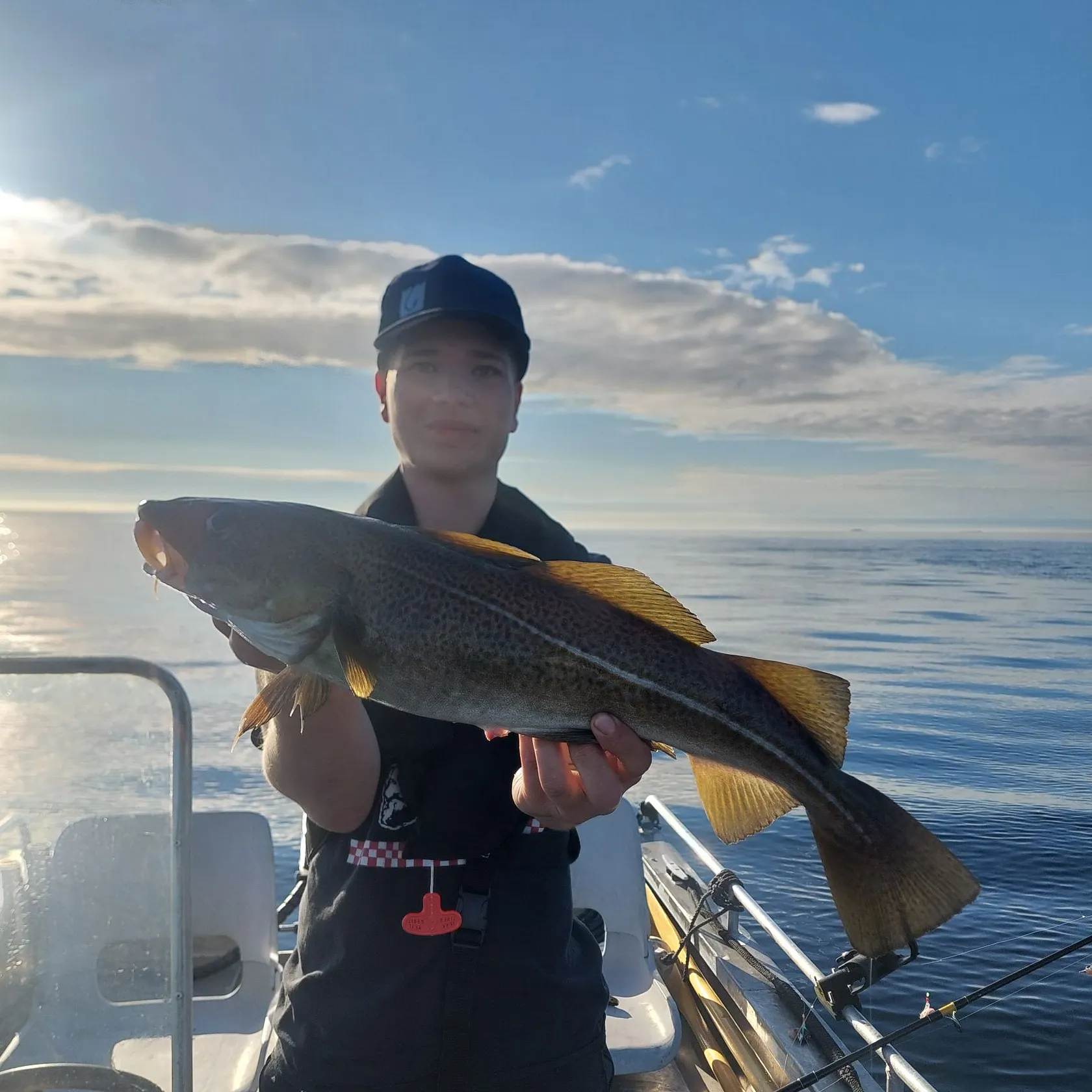 The most recent Atlantic cod catches on Fishbrain