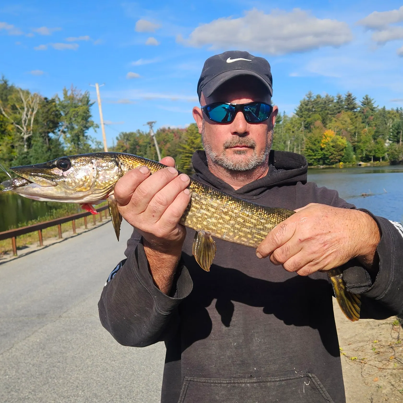 Northern pike caught on Fishbrain