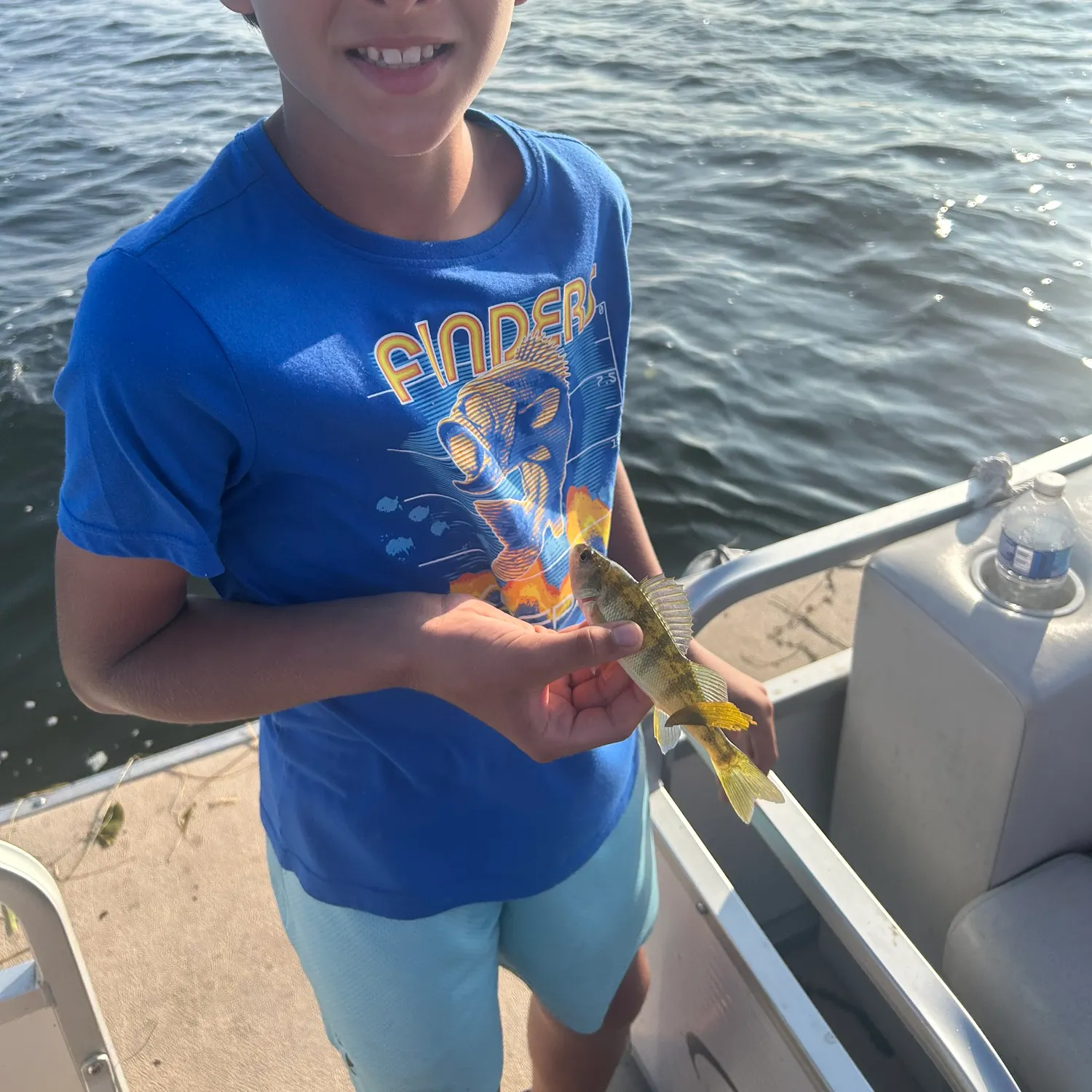 Yellow perch caught on Fishbrain