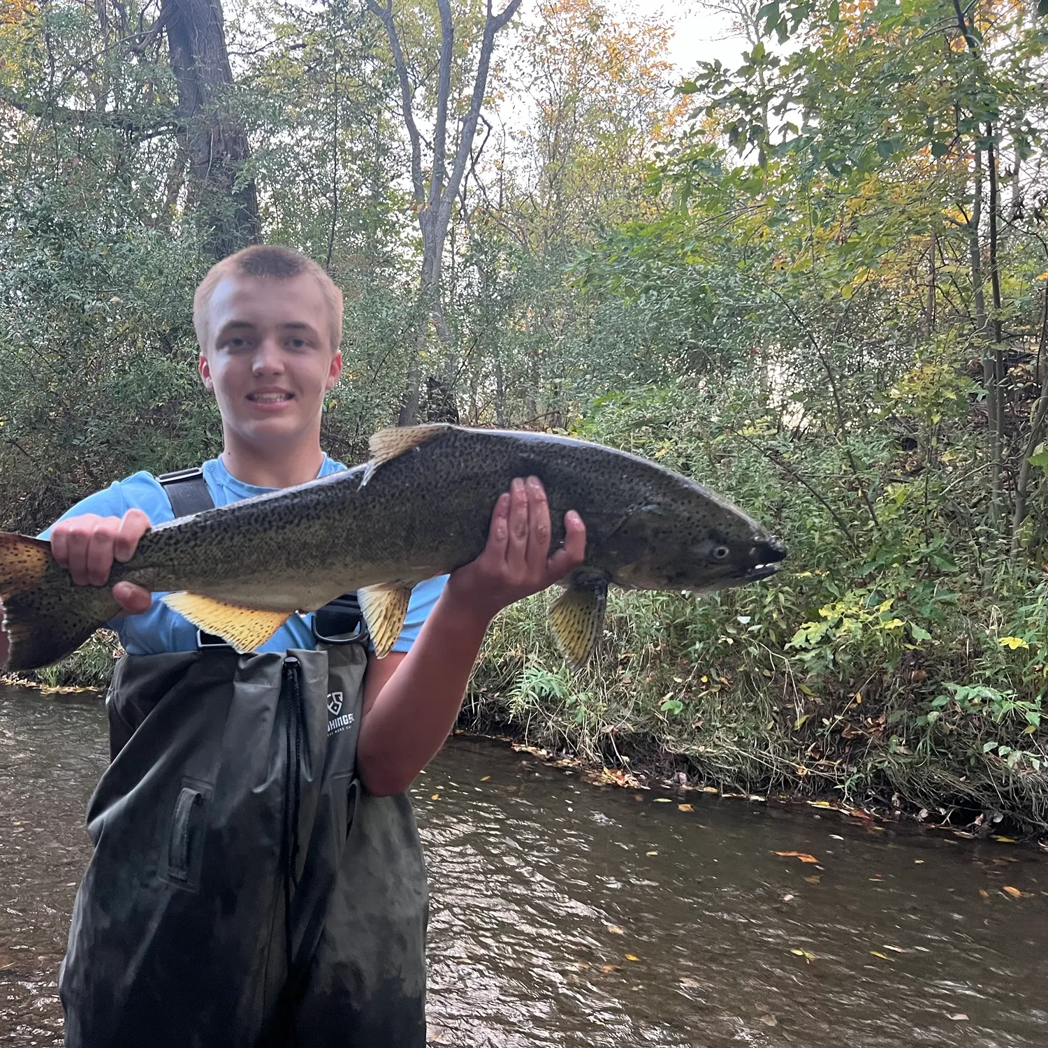 Chinook salmon caught on Fishbrain