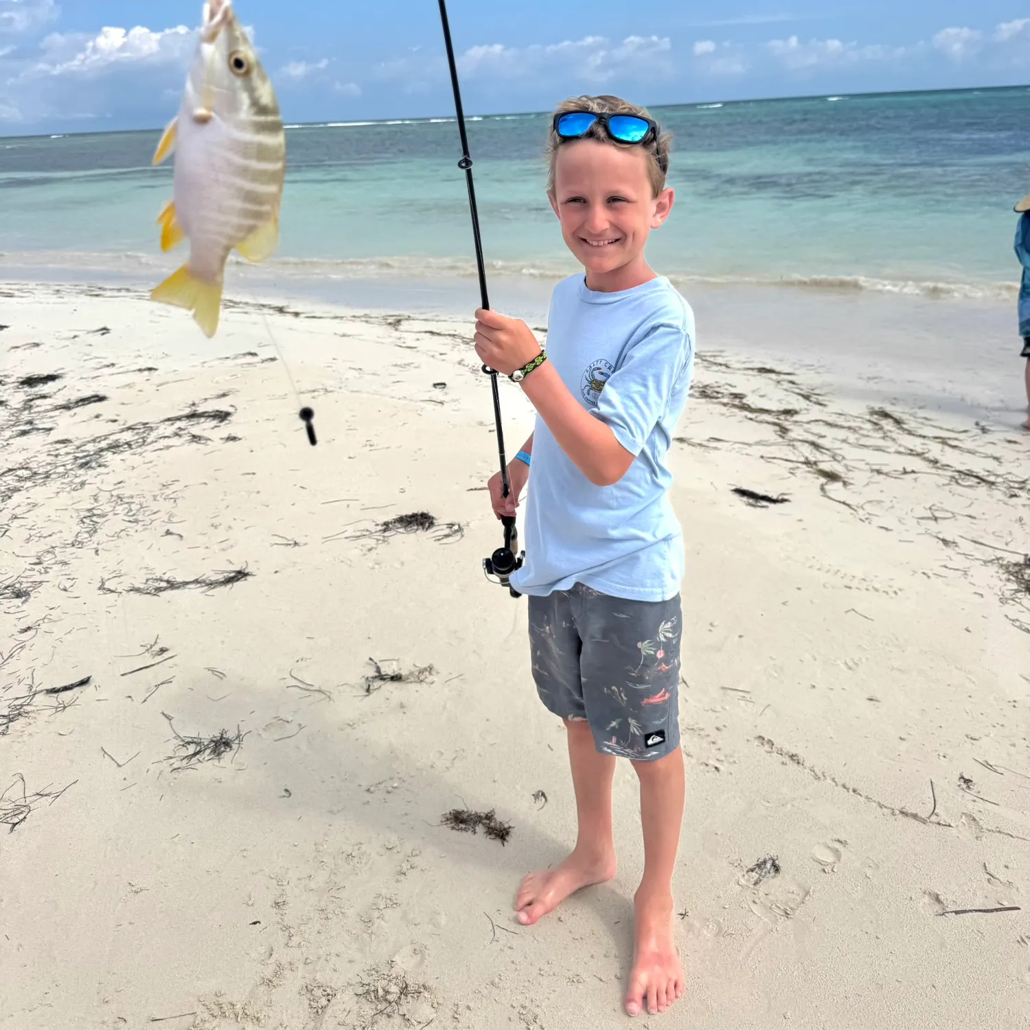 Yellowtail snapper caught on Fishbrain