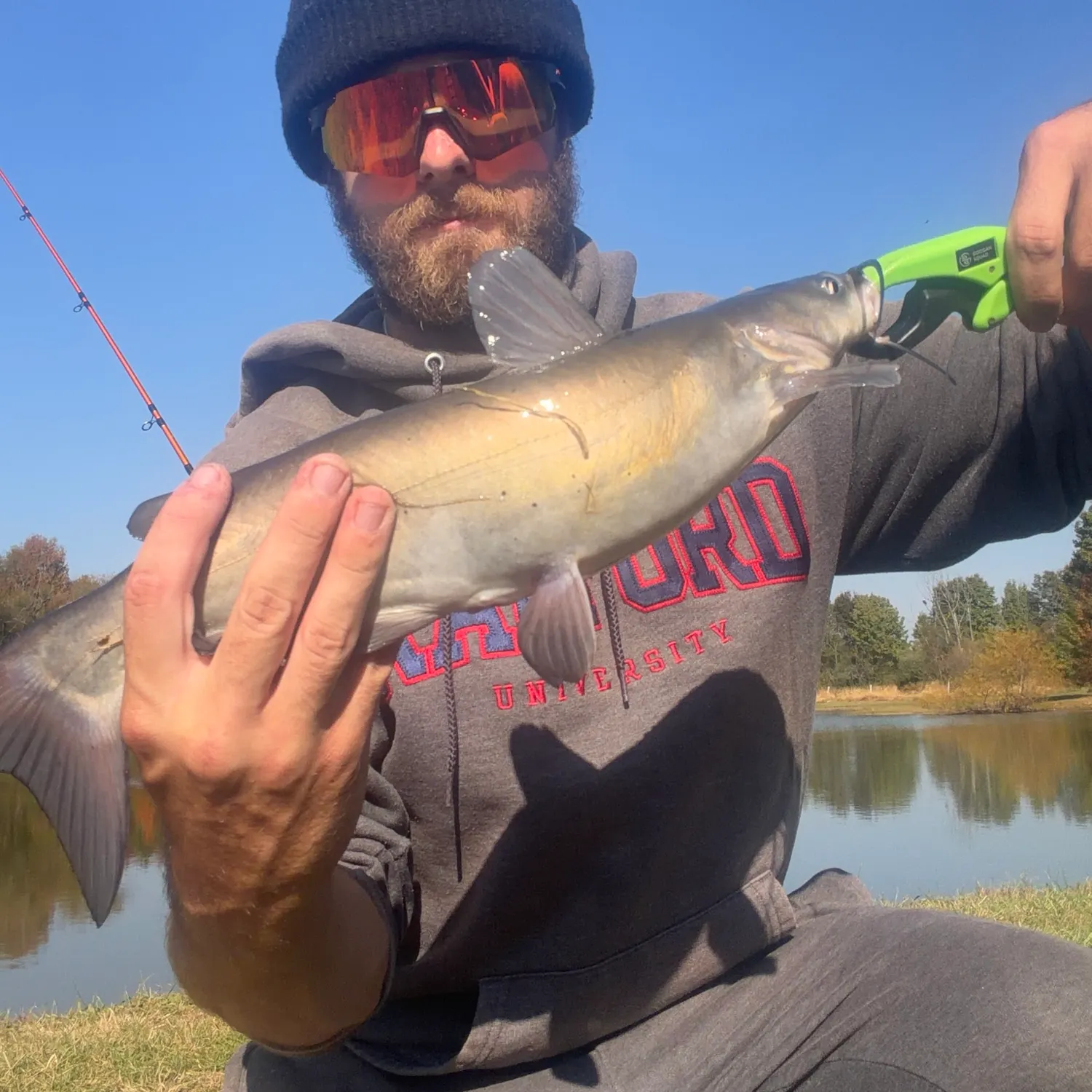 Channel catfish caught on Fishbrain
