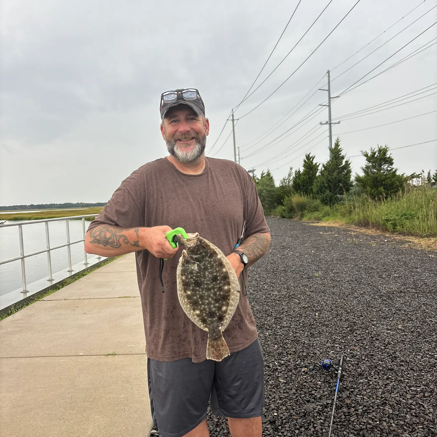 Summer flounder caught on Fishbrain