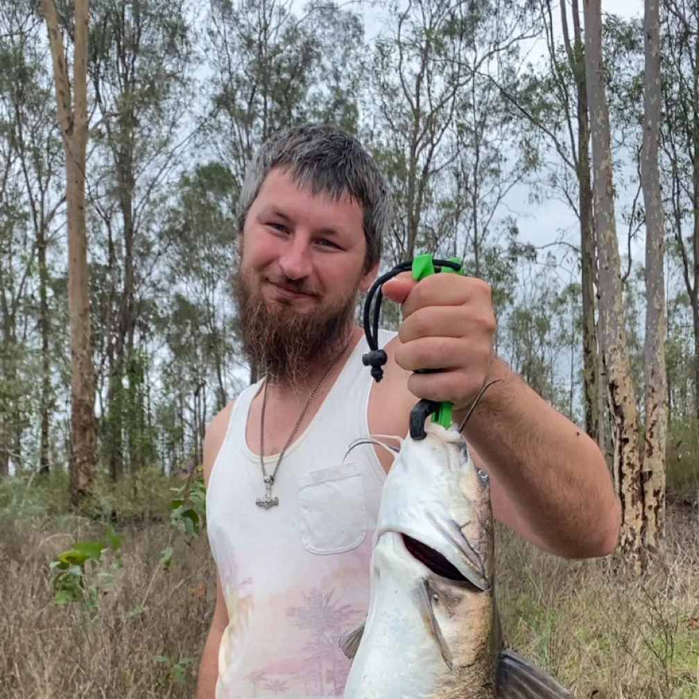 The most recent Blue salmon catfish catches on Fishbrain