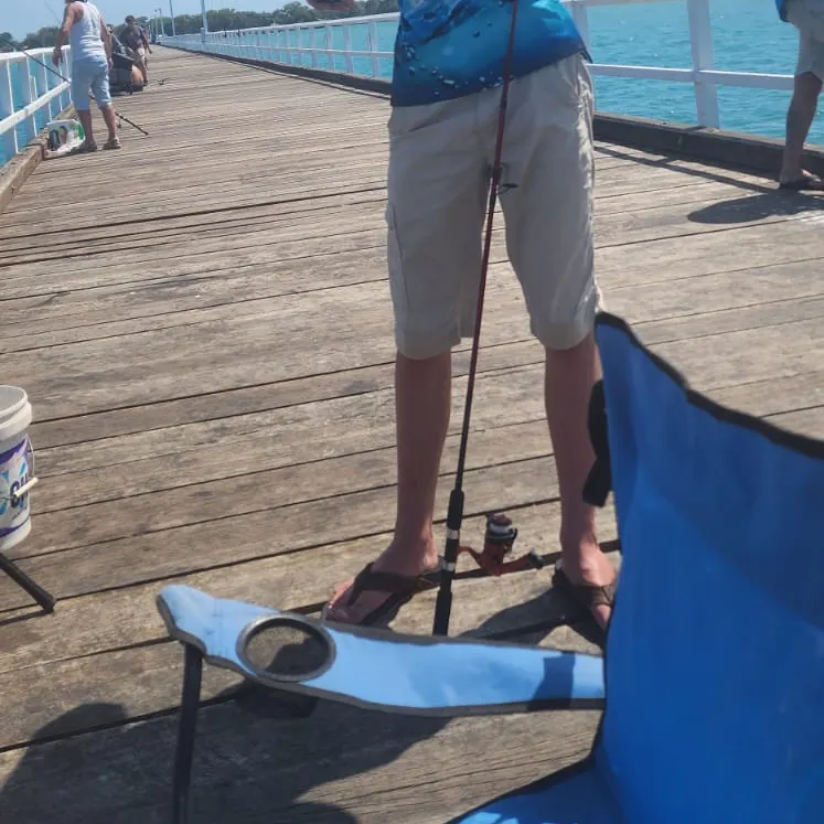 The most recent Blackspot sergeant catches on Fishbrain