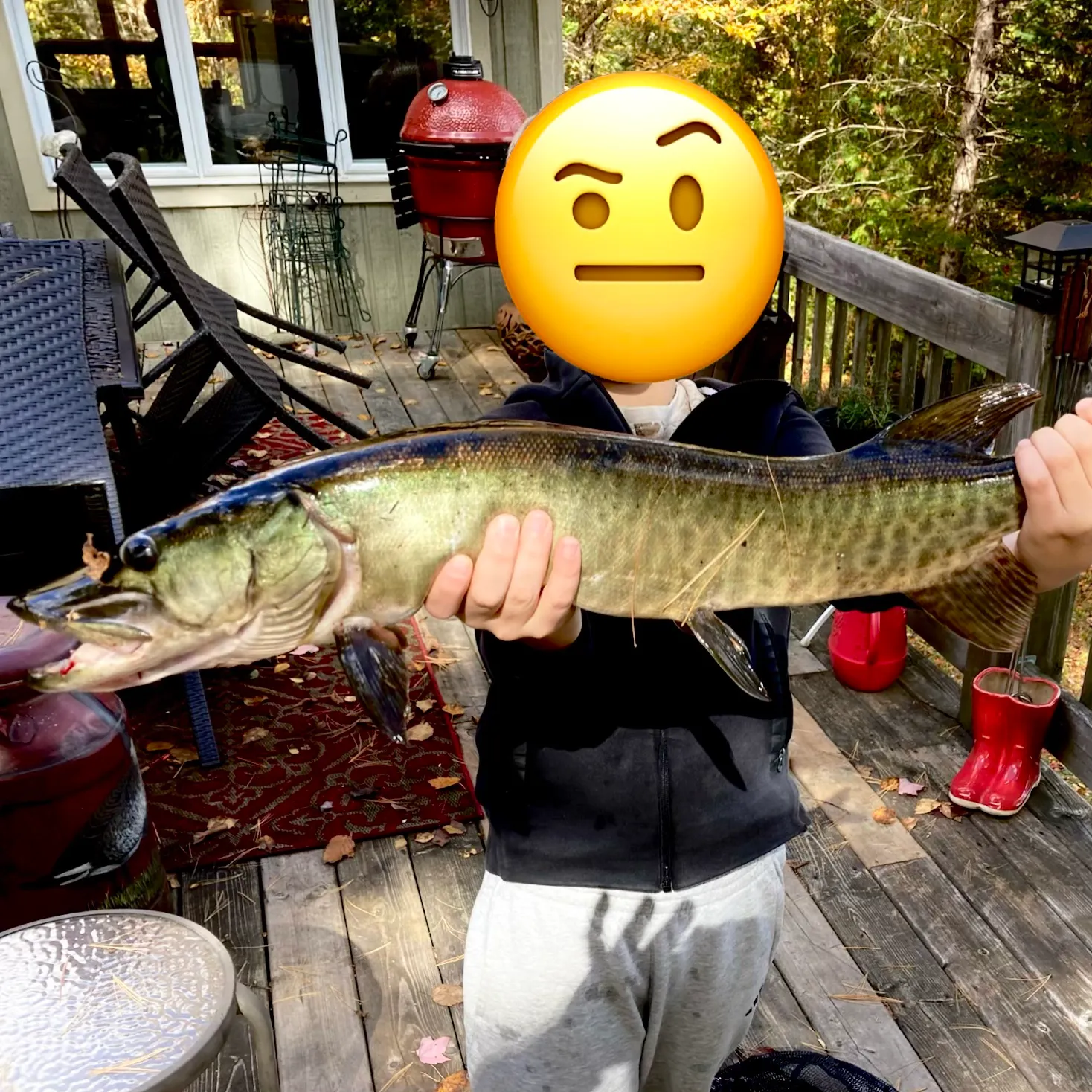 Muskie caught on Fishbrain