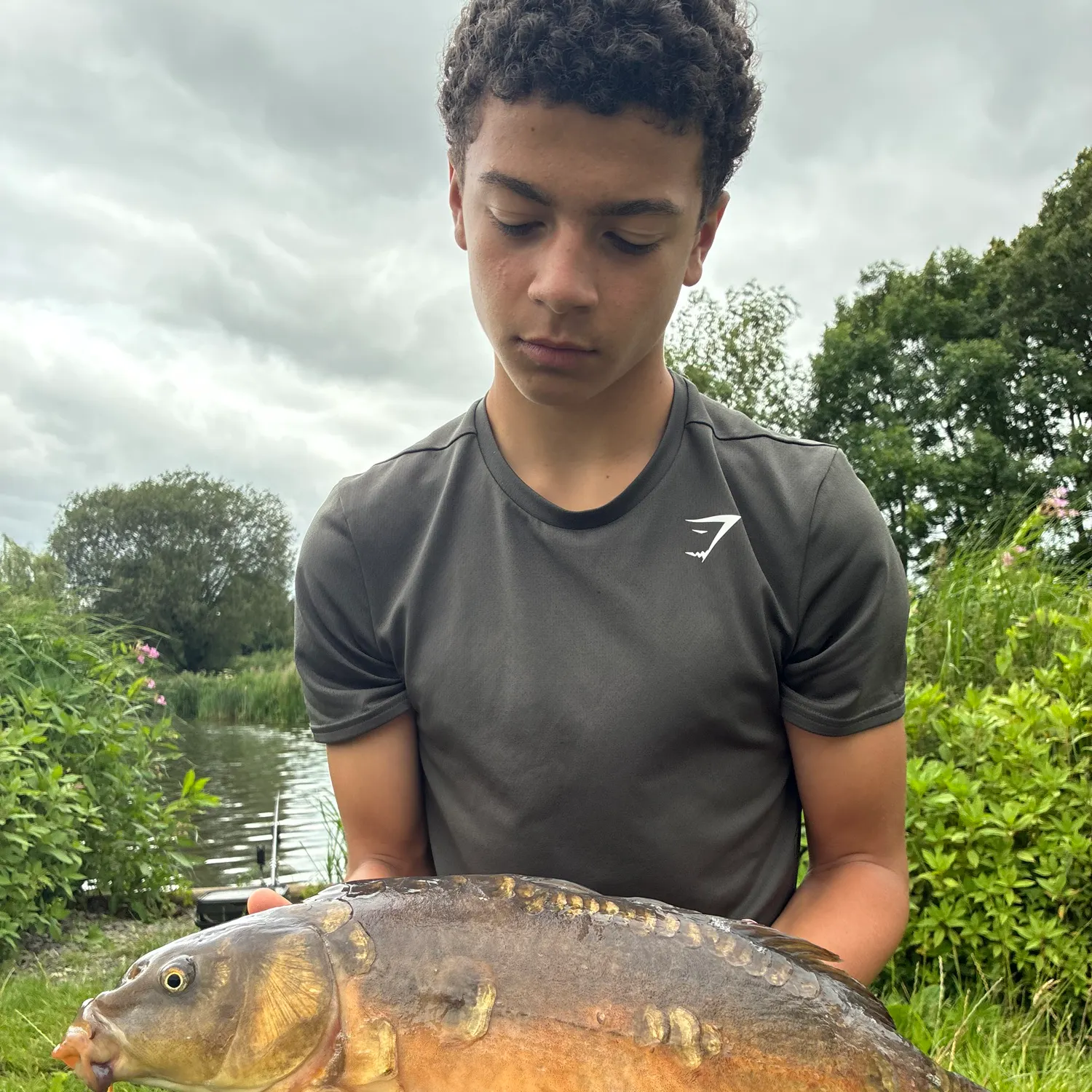 Leather carp caught on Fishbrain
