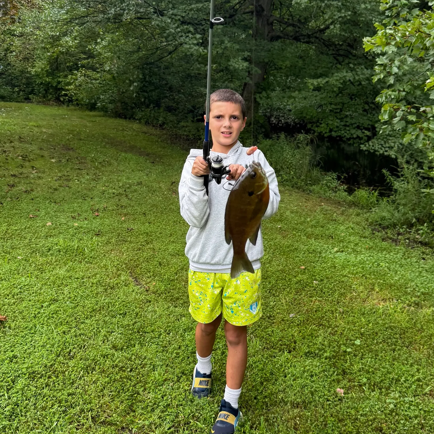 Green sunfish caught on Fishbrain