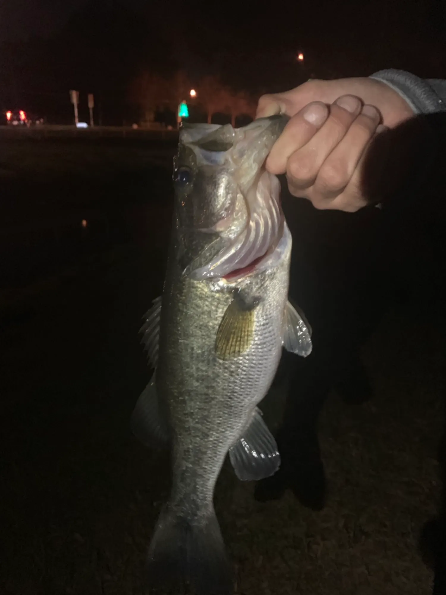 Post image from Catchmefishing