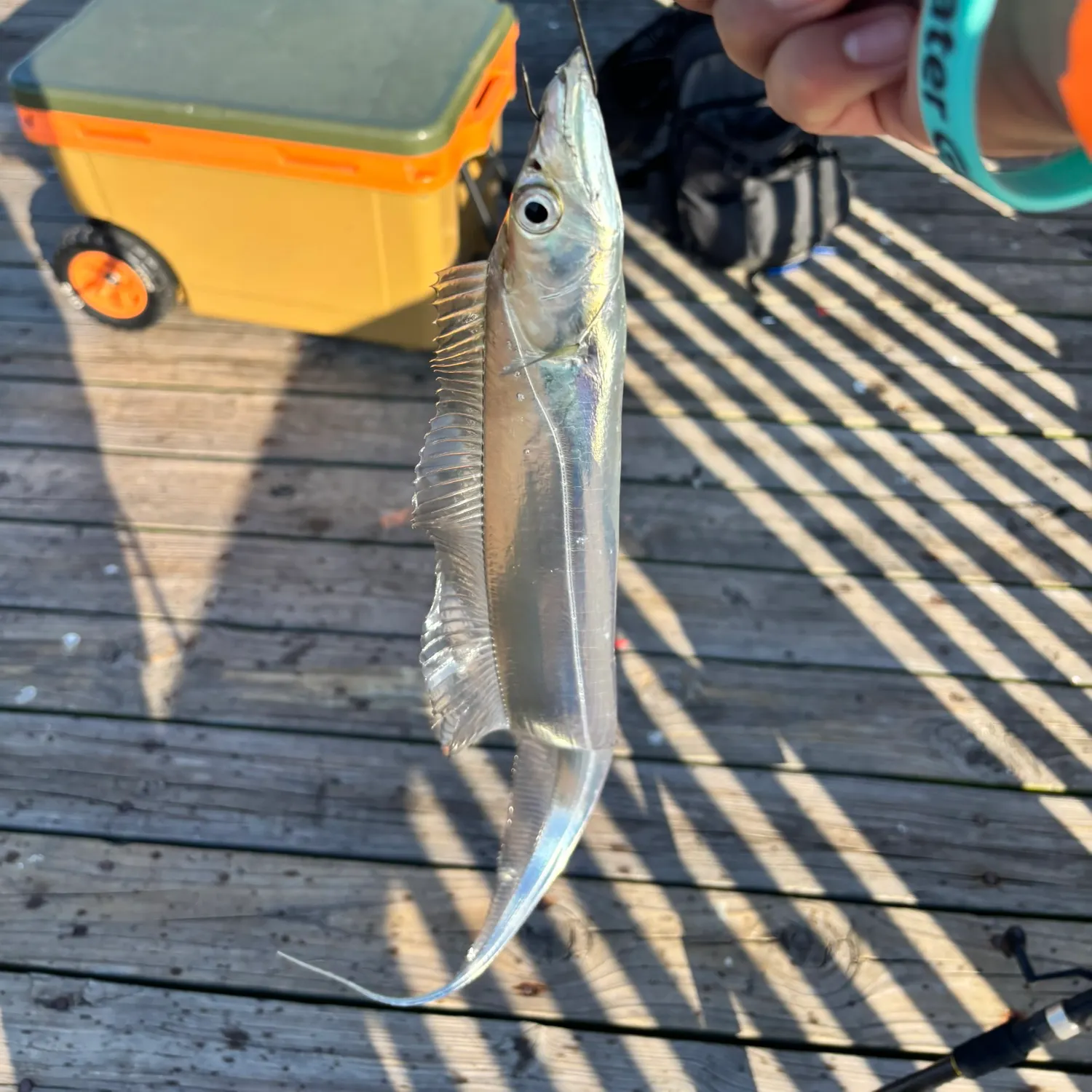 catch