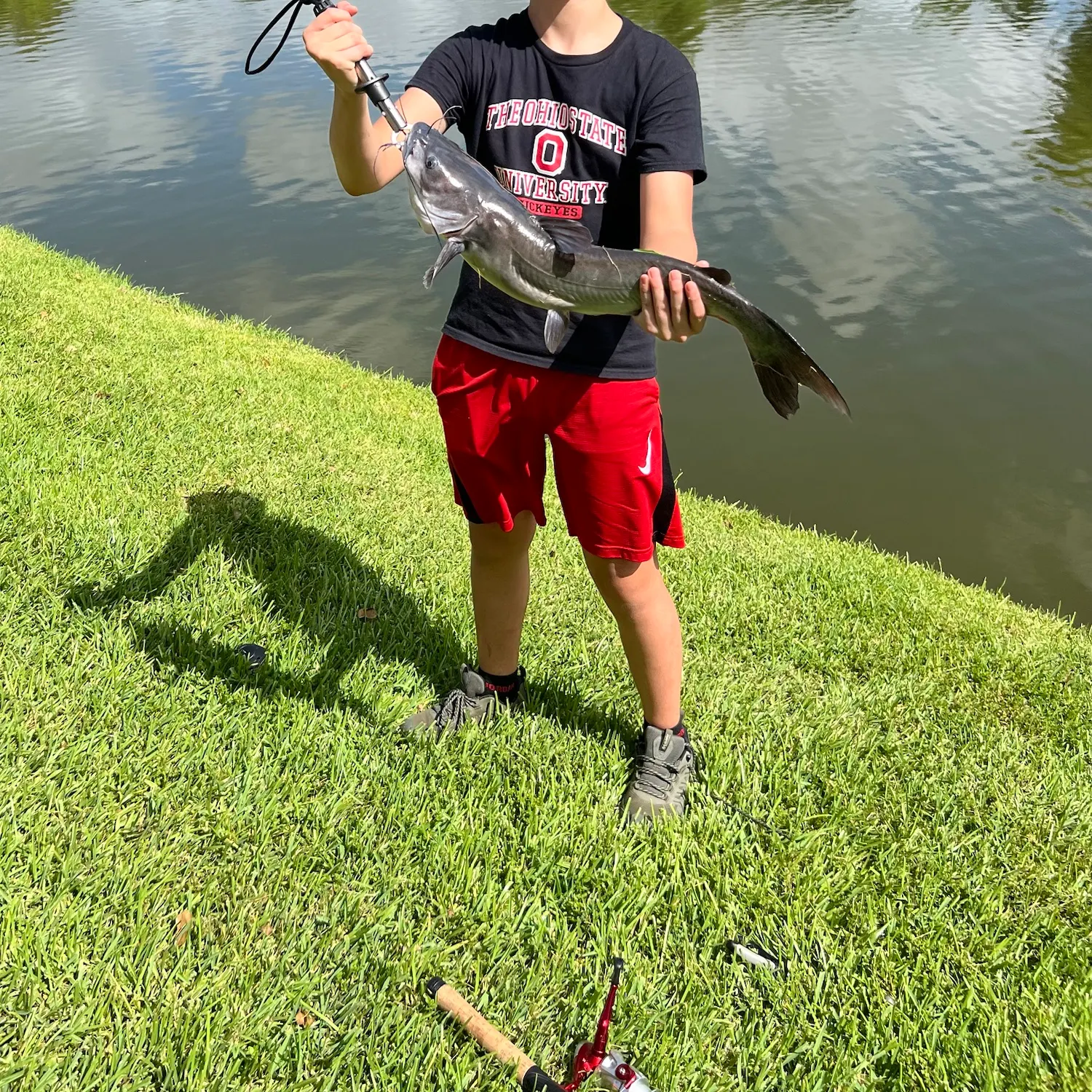 Channel catfish caught on Fishbrain