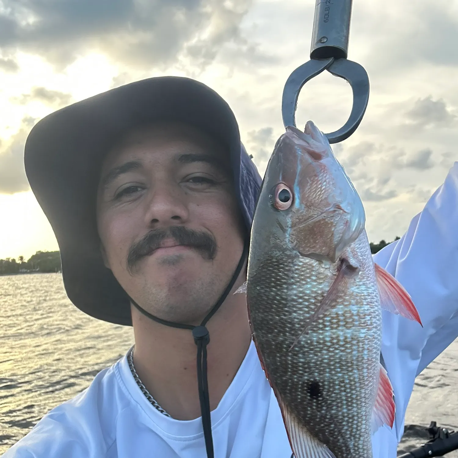 The most recent Mutton snapper catches on Fishbrain