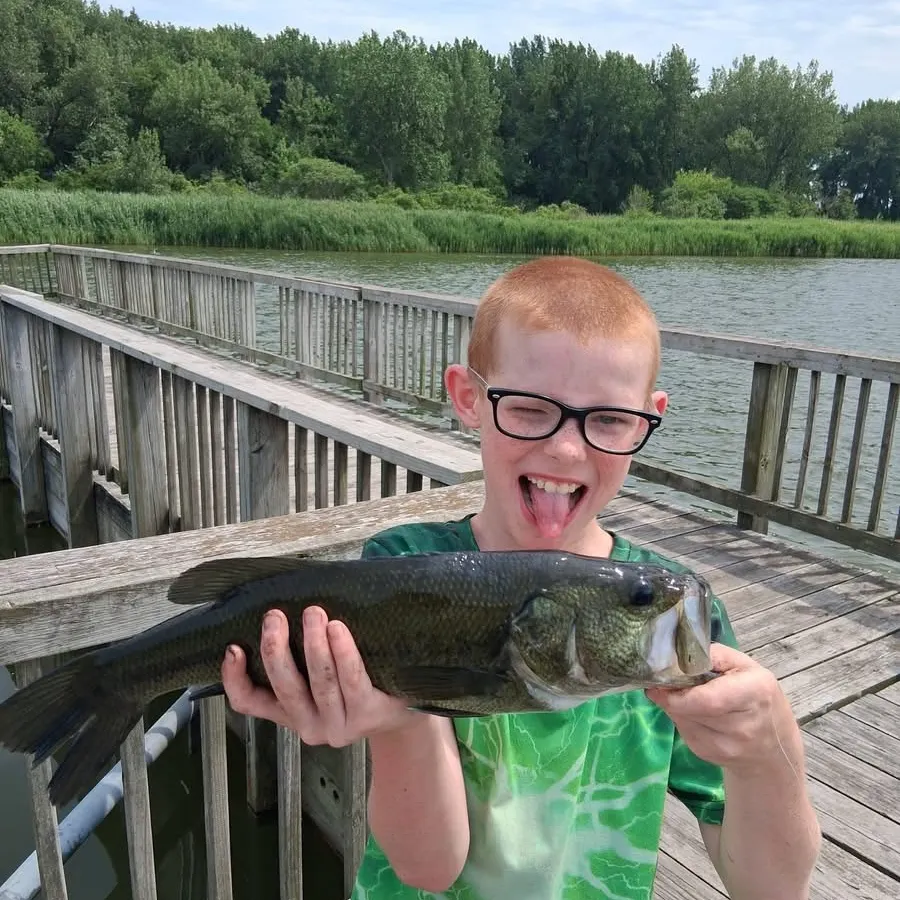 Largemouth bass caught on Fishbrain