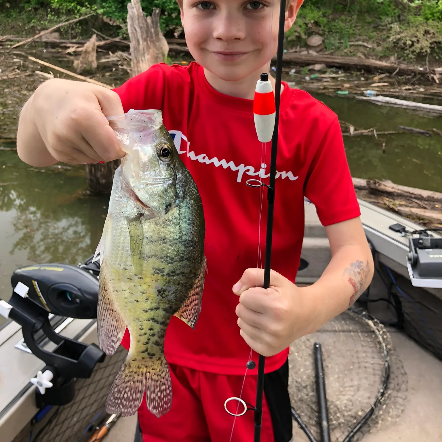 The most recent White crappie catches on Fishbrain