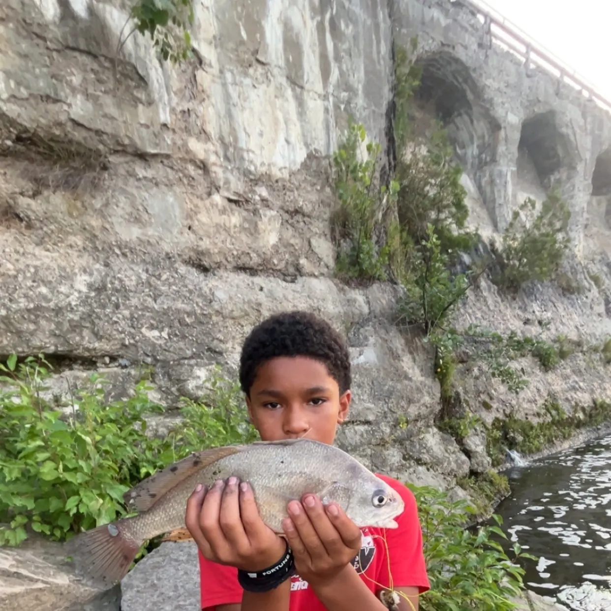 Freshwater drum caught on Fishbrain