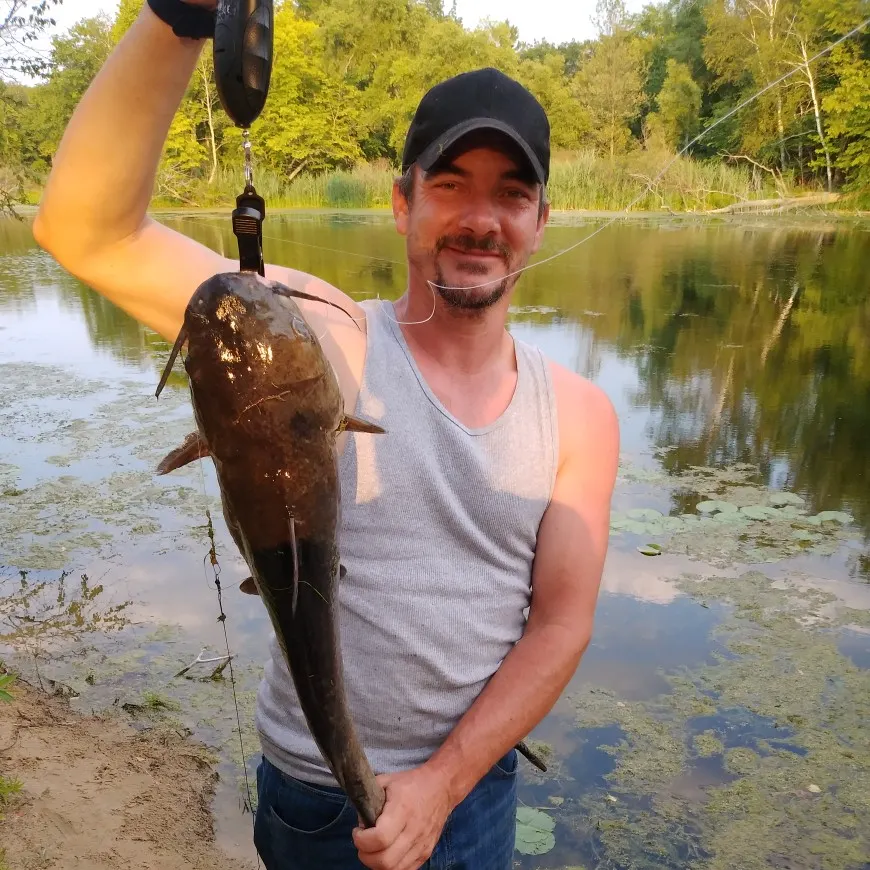 Fish caught on Fishbrain