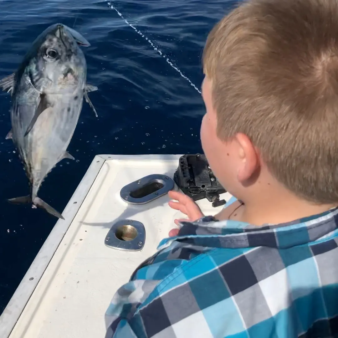 The most recent Black skipjack tuna catches on Fishbrain